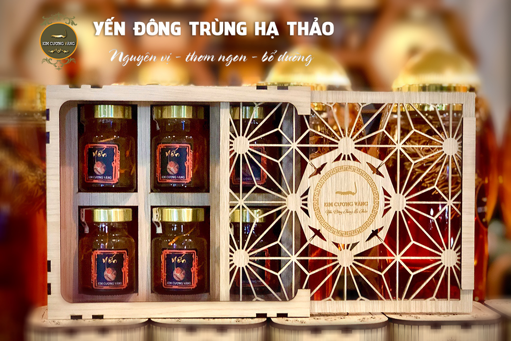yến đông trùng hạ thảo nguyên vị