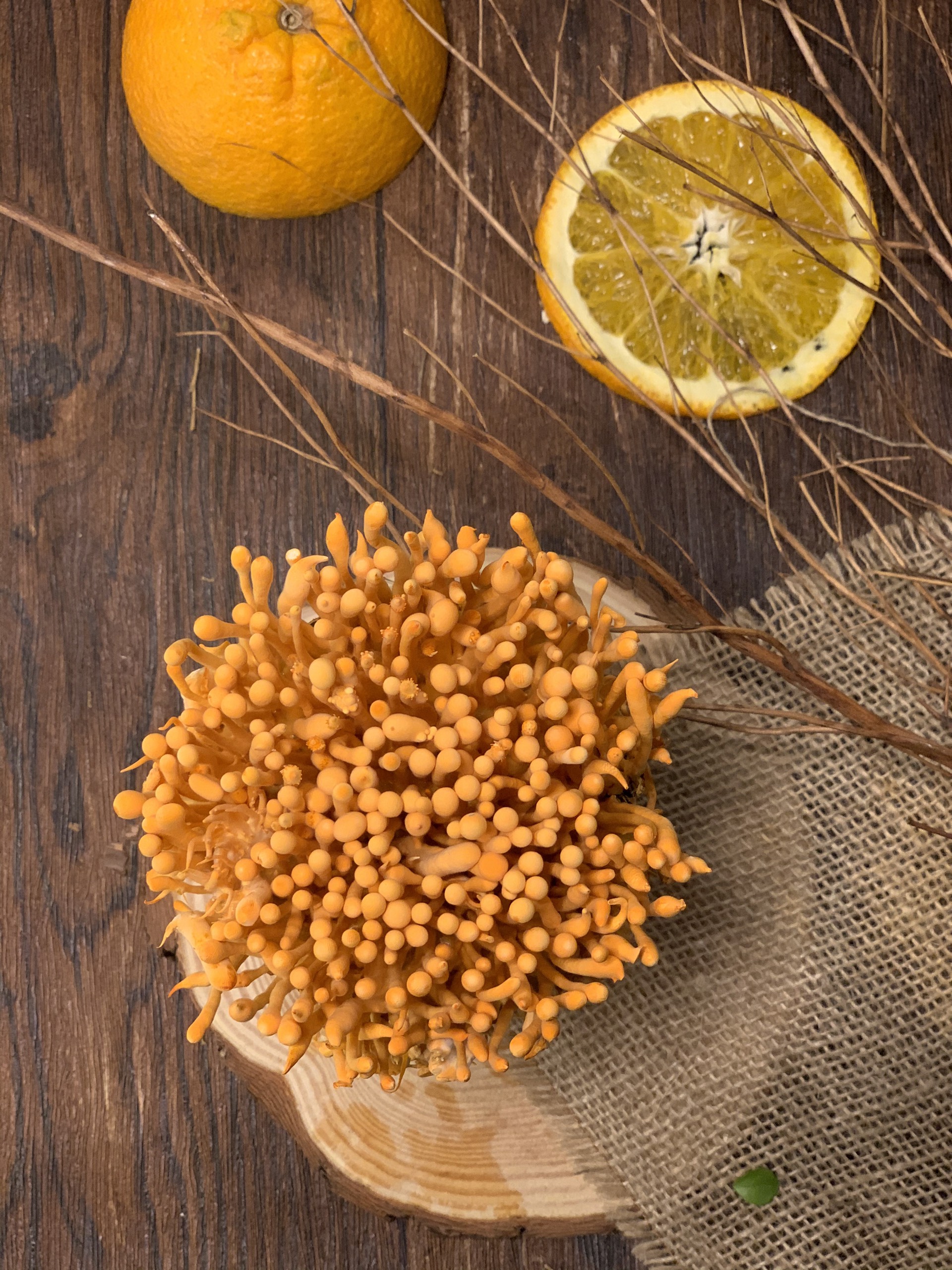 đông trùng hạ thảo tươi kim cương vàng