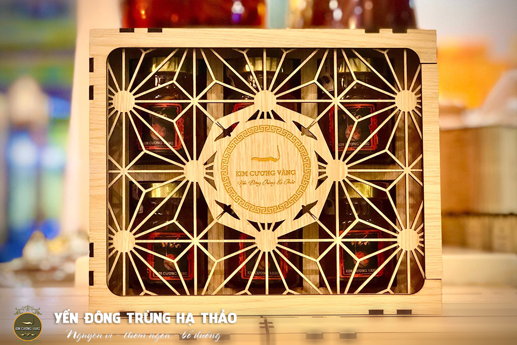 yến đông trùng hạ thảo tiến luật