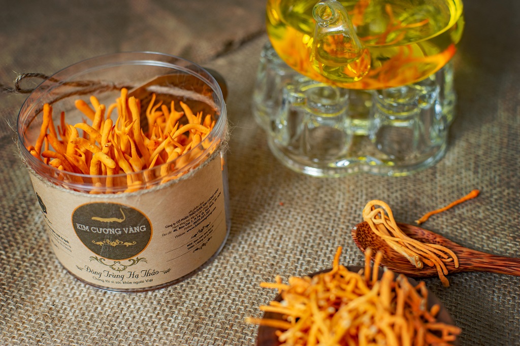 Đông Trùng Hạ Thảo Tươi